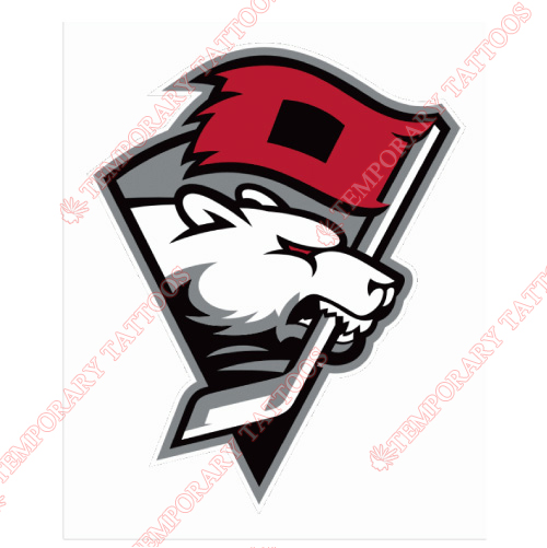 Charlotte Checkers Customize Temporary Tattoos Stickers NO.8996